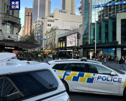 国产亚洲欧美在线播放网站