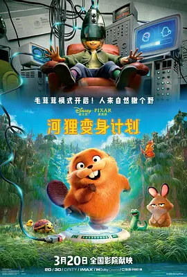 媳妇的全盛时代
