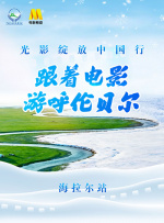 天天操综合视频
