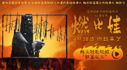 无人区理论片手机看片