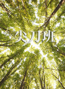 午夜视频在线看