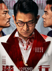 姐姐的S丑闻
