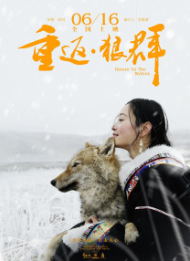 免费高清桌面壁纸