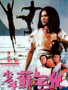 亚洲精品久久久久影