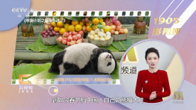 韩国经典三级