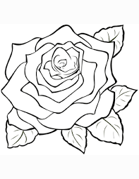 Free Roses Coloring Pages
